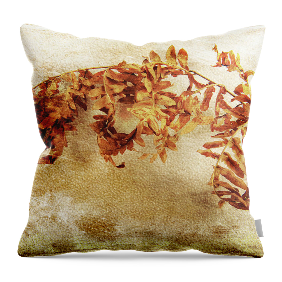 Old Throw Pillow featuring the photograph Disorderly Order by Randi Grace Nilsberg
