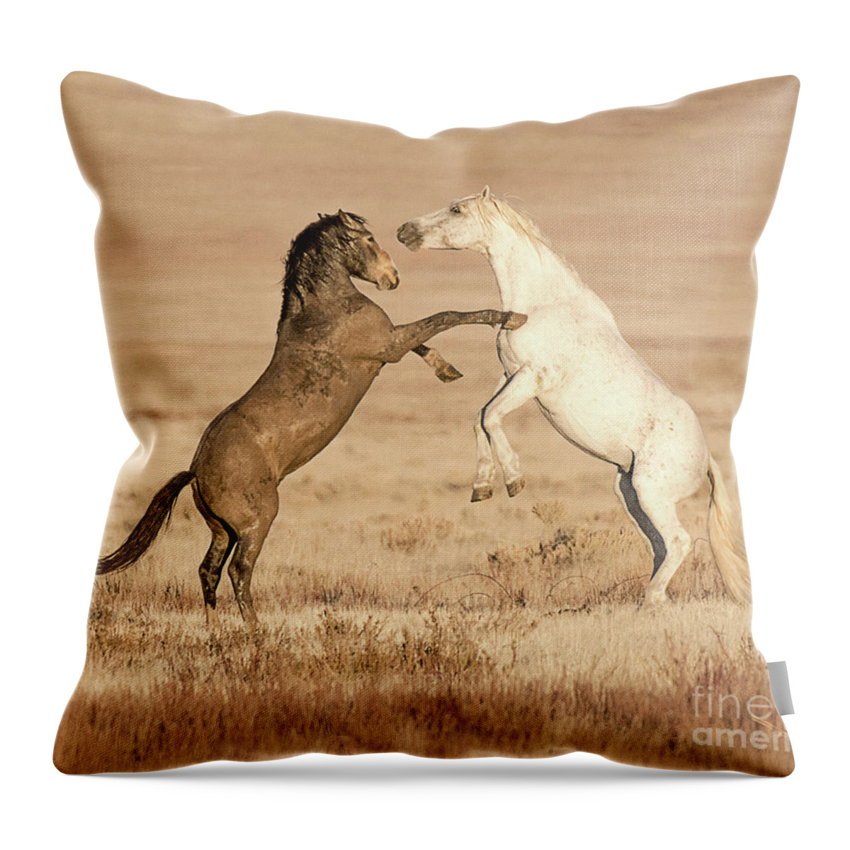 Mammal Throw Pillow featuring the photograph Dispute in the Desert by Dennis Hammer
