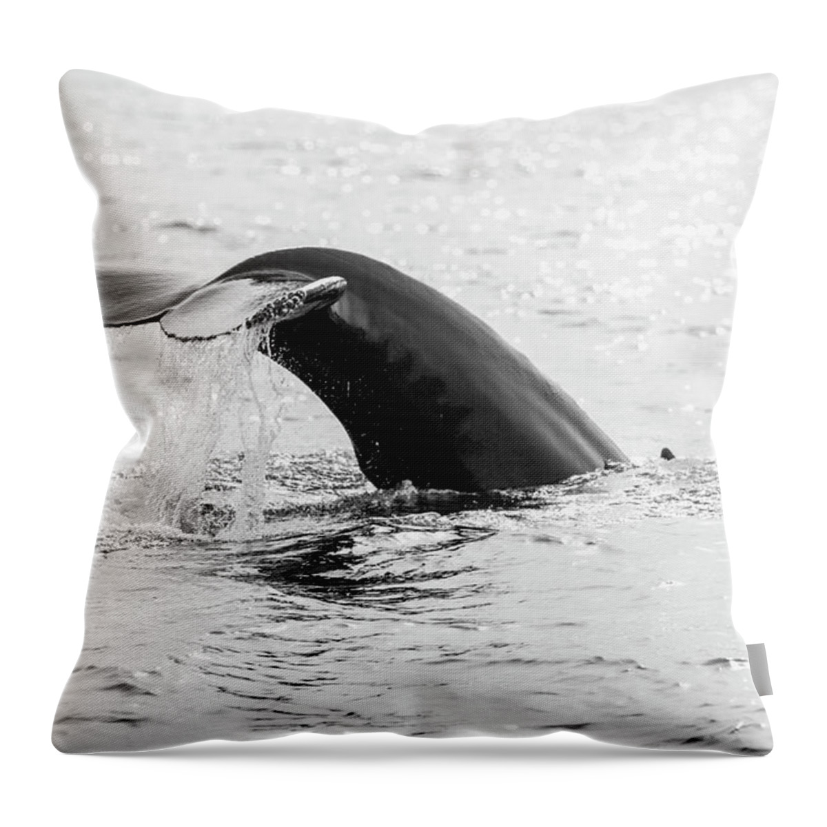 Diving Into Water Throw Pillow featuring the photograph Diving Humpback Whale by Ian Gethings