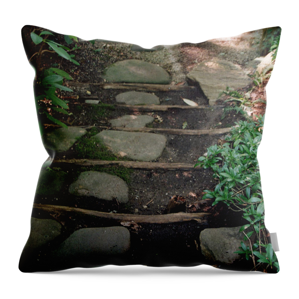 Landscape Throw Pillow featuring the photograph Dnrs1003 by Henry Butz