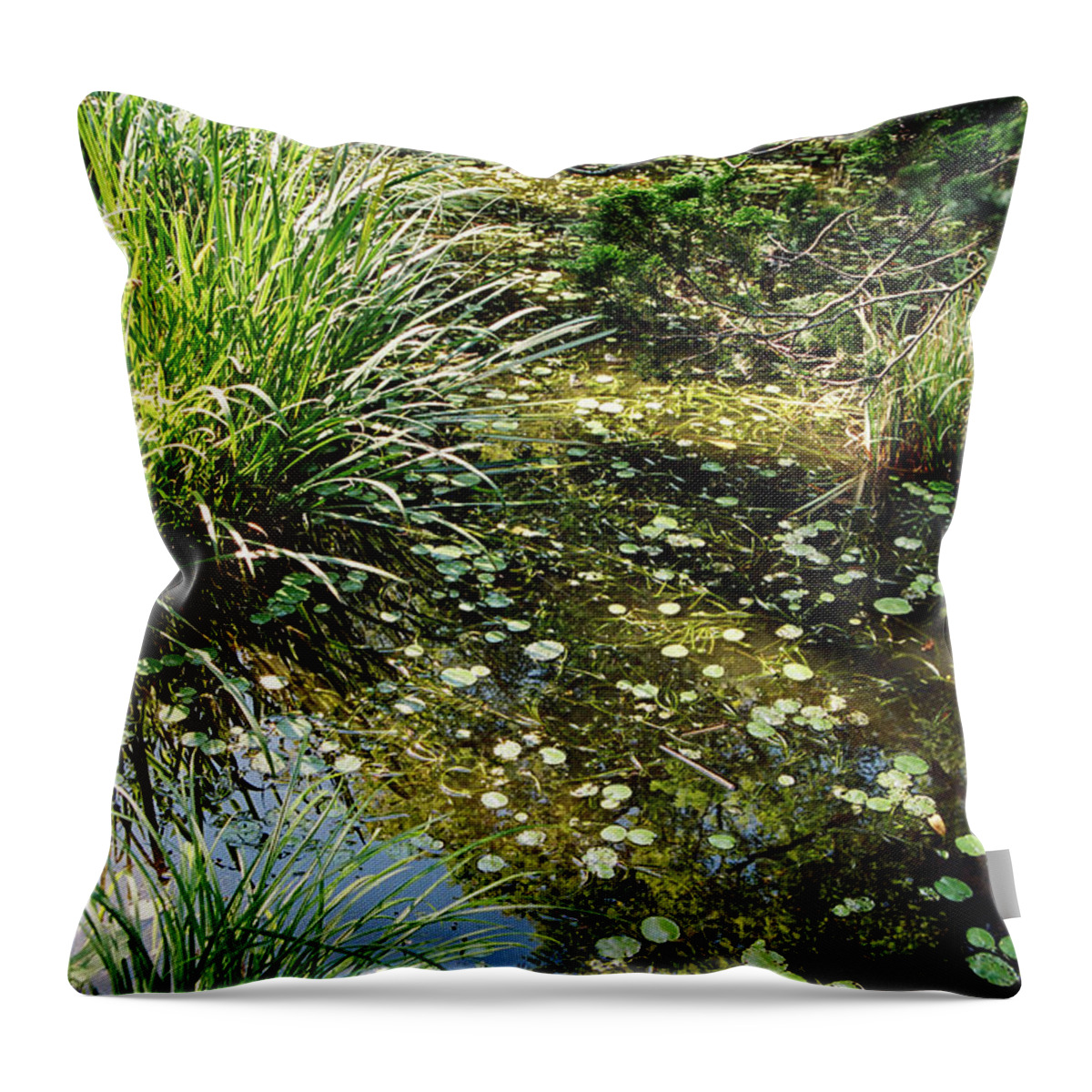 Landscape Throw Pillow featuring the photograph Dnrs1010 by Henry Butz