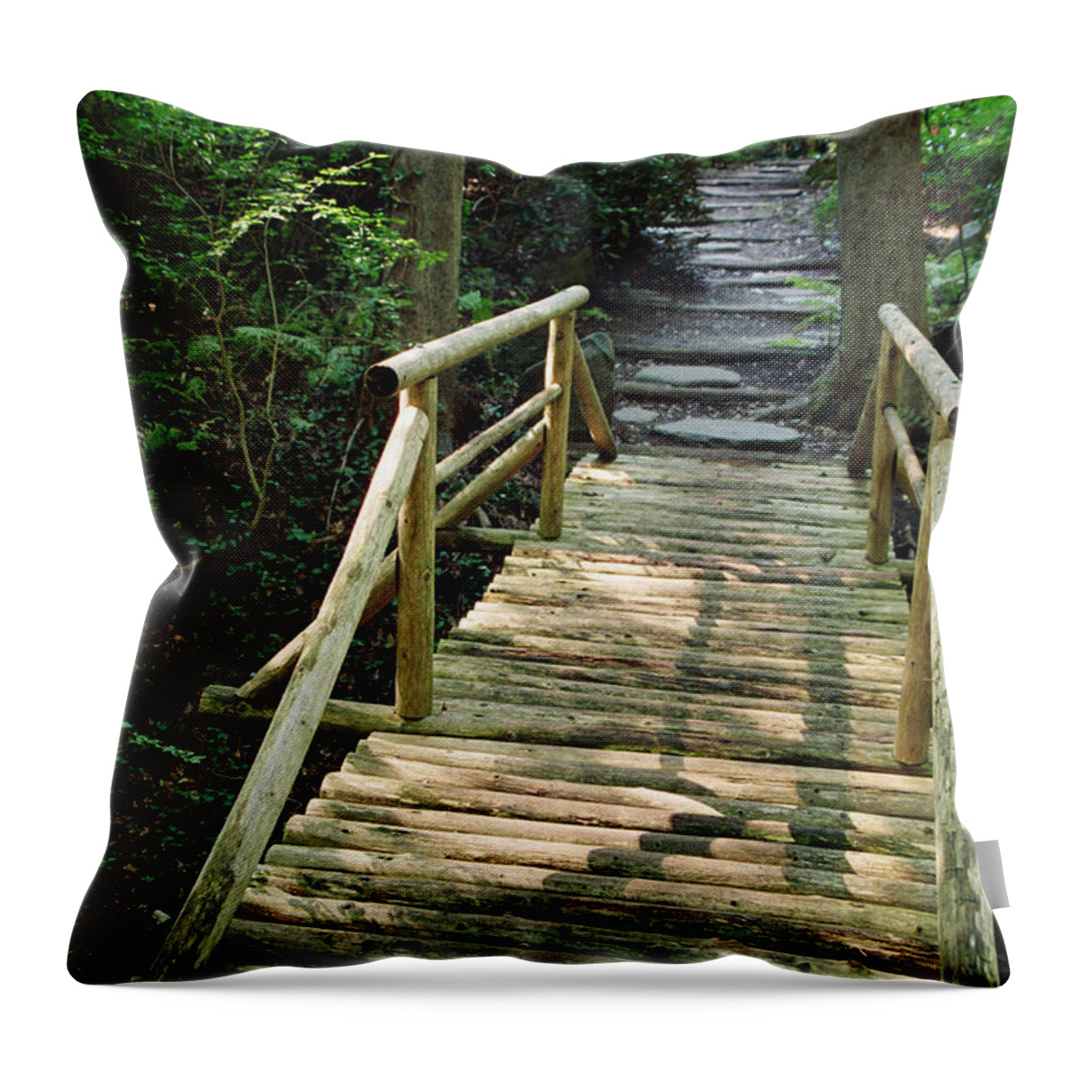 Landscape Throw Pillow featuring the photograph Dnrs1019 by Henry Butz