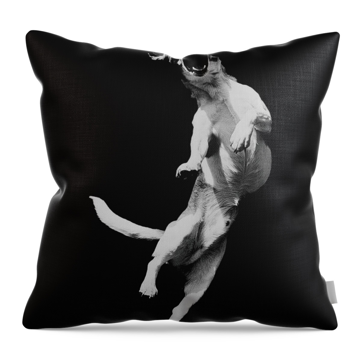 Pets Throw Pillow featuring the photograph Dog In Mid-air Jump B&w by Henry Horenstein