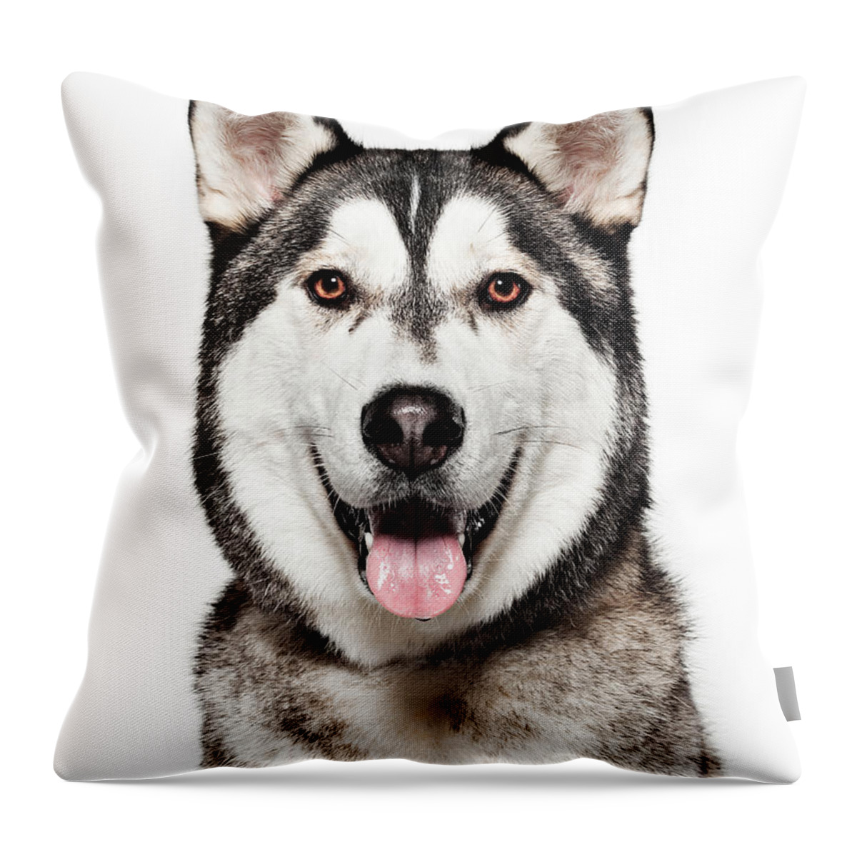 Pets Throw Pillow featuring the photograph Dog Portrait - Husky by Daneger