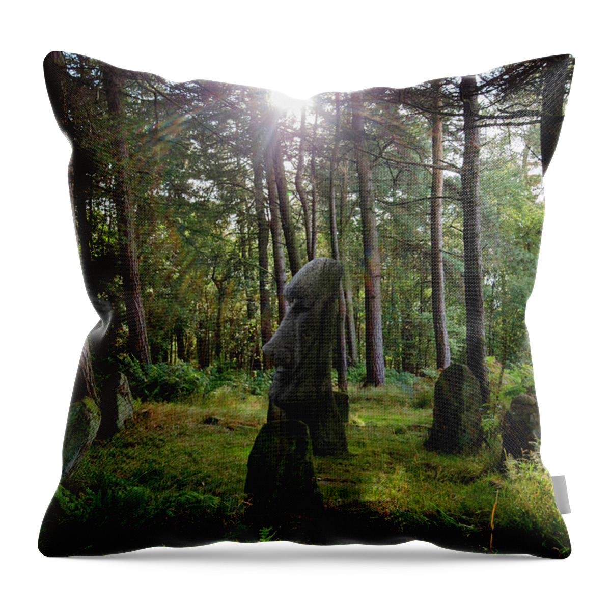 Doll Tor Throw Pillow featuring the photograph Doll Tor and more by Steev Stamford