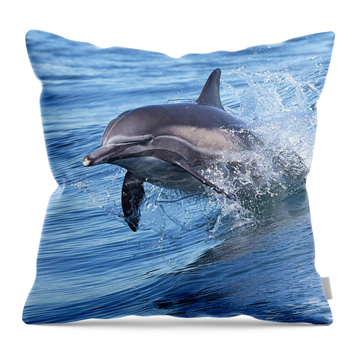 Wake Throw Pillow featuring the photograph Dolphin Riding Wake by Greg Boreham (treklightly)