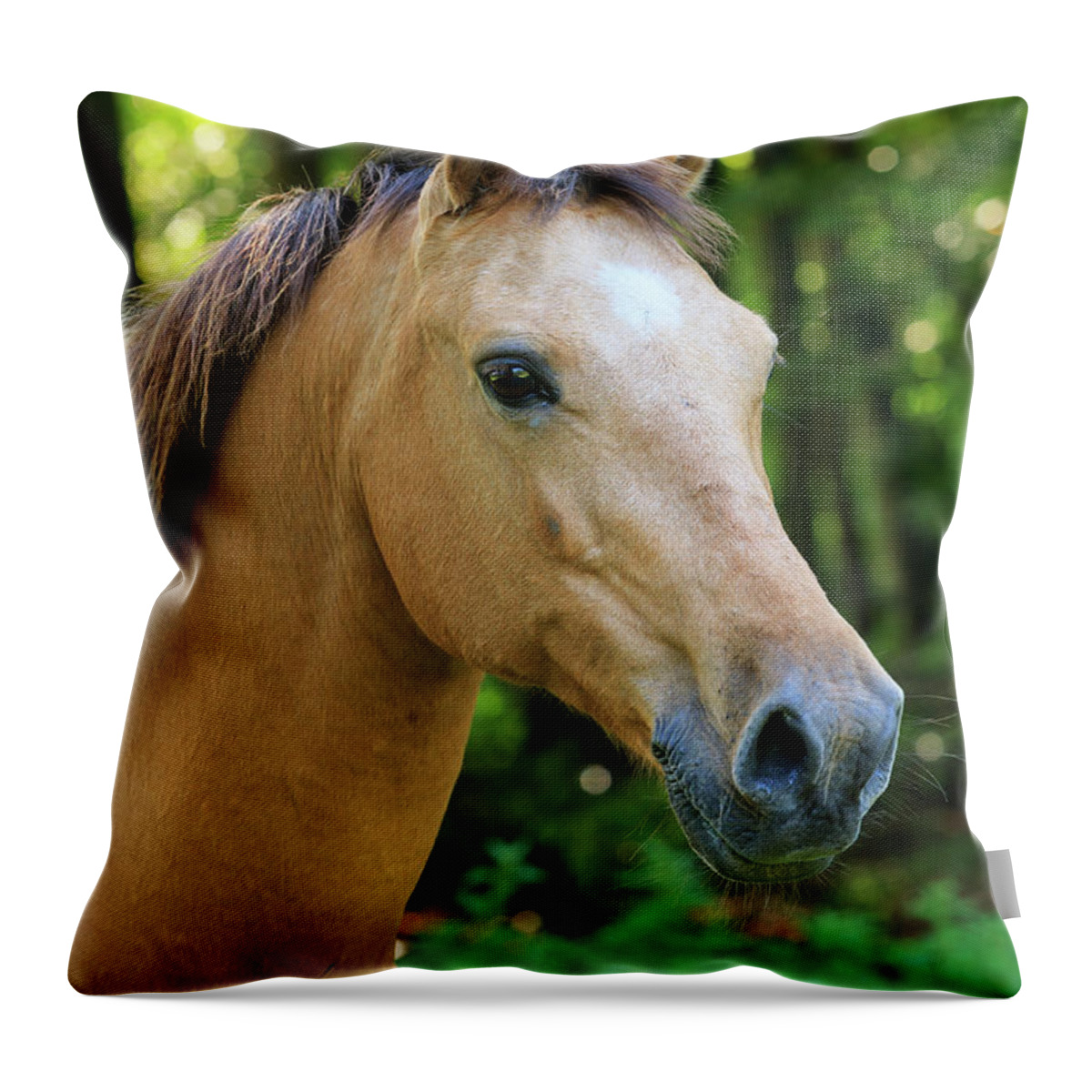 Heike Odermatt Throw Pillow featuring the photograph Domestic Horse Portrait by Heike Odermatt
