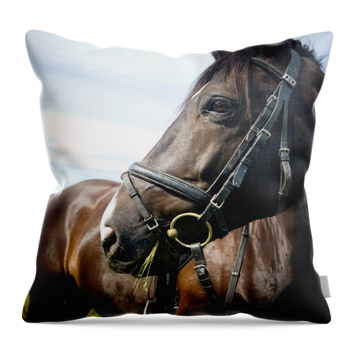 Horse Throw Pillow featuring the photograph Dont Look Back by Pixalot