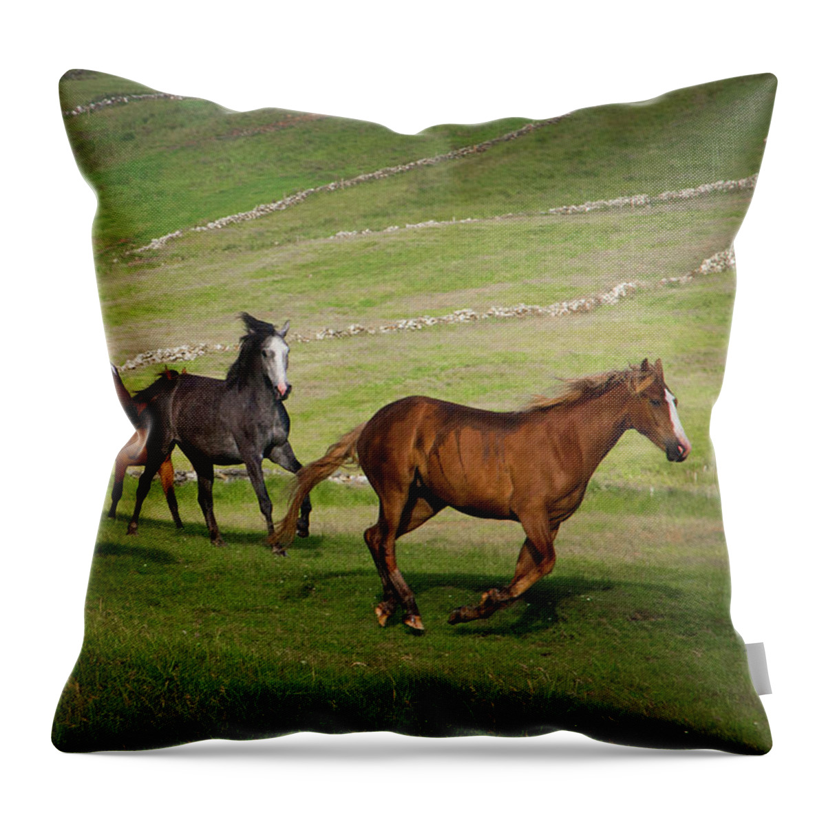 Horse Throw Pillow featuring the photograph Doolin Gallop III by Mark Callanan