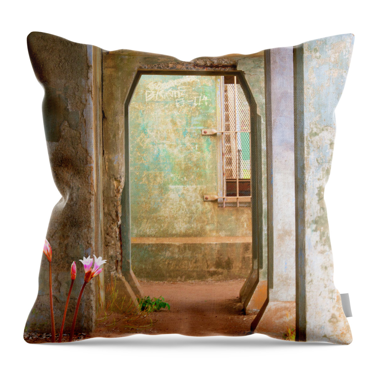 Old Military Structures Throw Pillow featuring the photograph Doors of Time by Jessica Levant