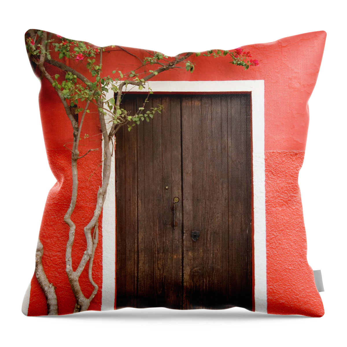 Built Structure Throw Pillow featuring the photograph Doorway by Livingimages