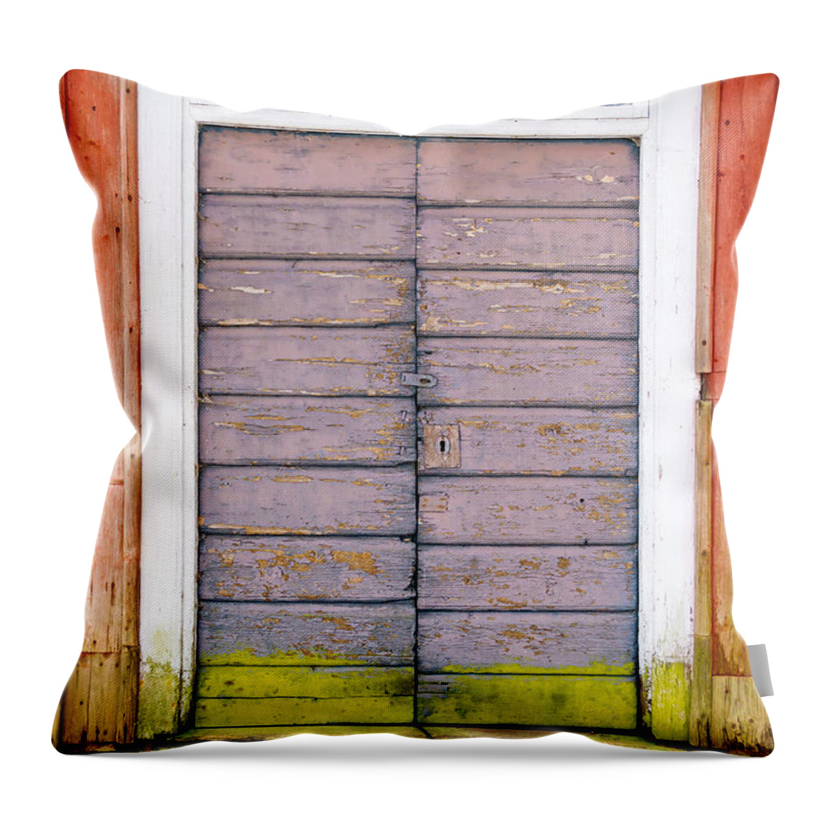 Hinge Throw Pillow featuring the photograph Doorway by Reimphoto