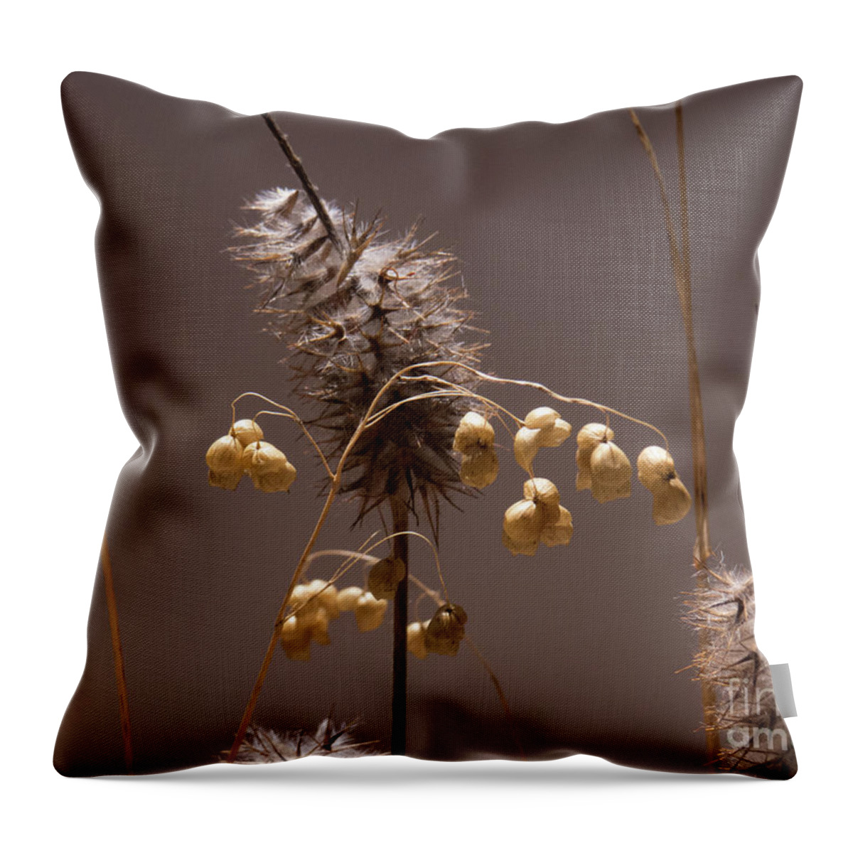 Weeds Throw Pillow featuring the photograph Dormant Plant Jungle by Christy Garavetto