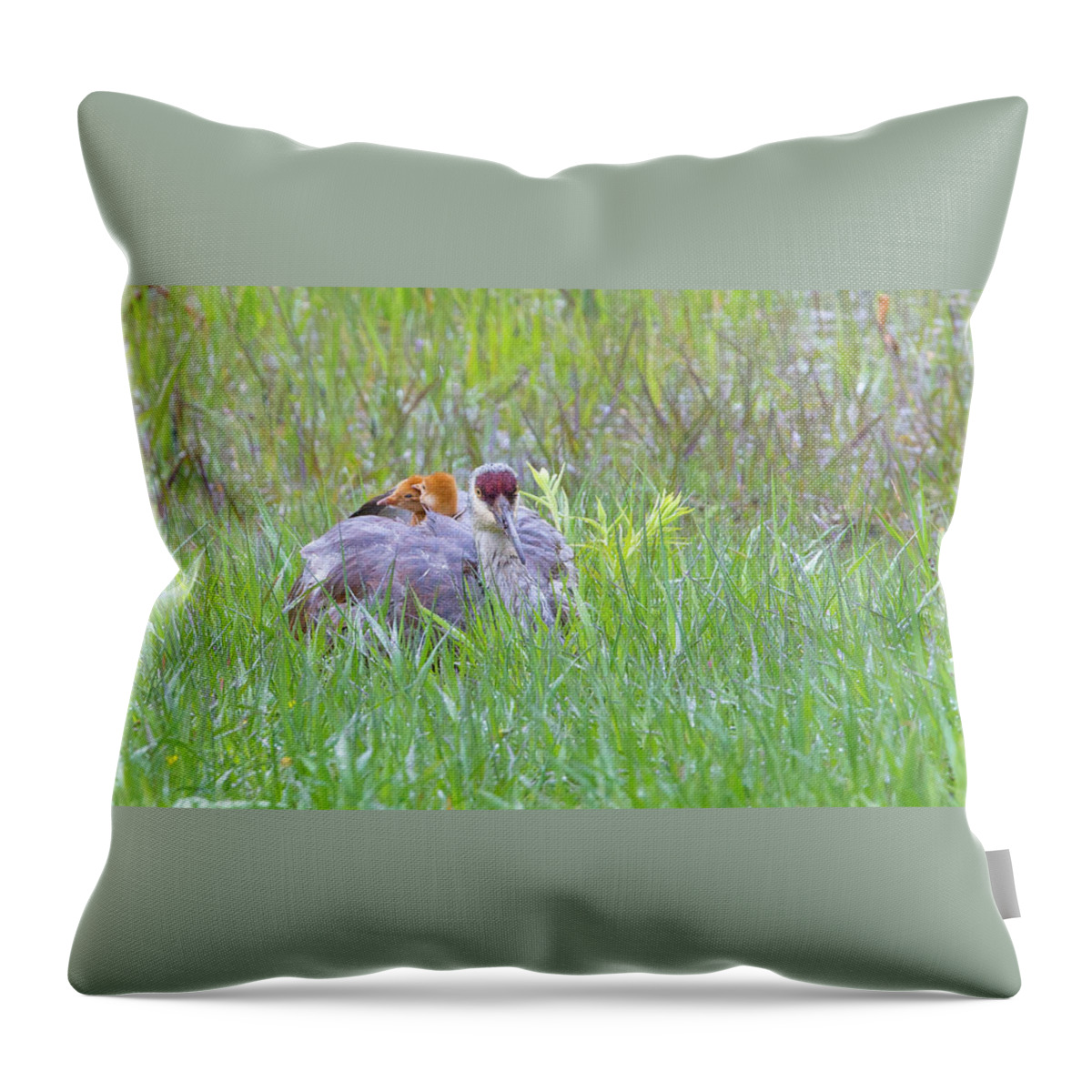 2019 Throw Pillow featuring the photograph Double Down by Kevin Dietrich