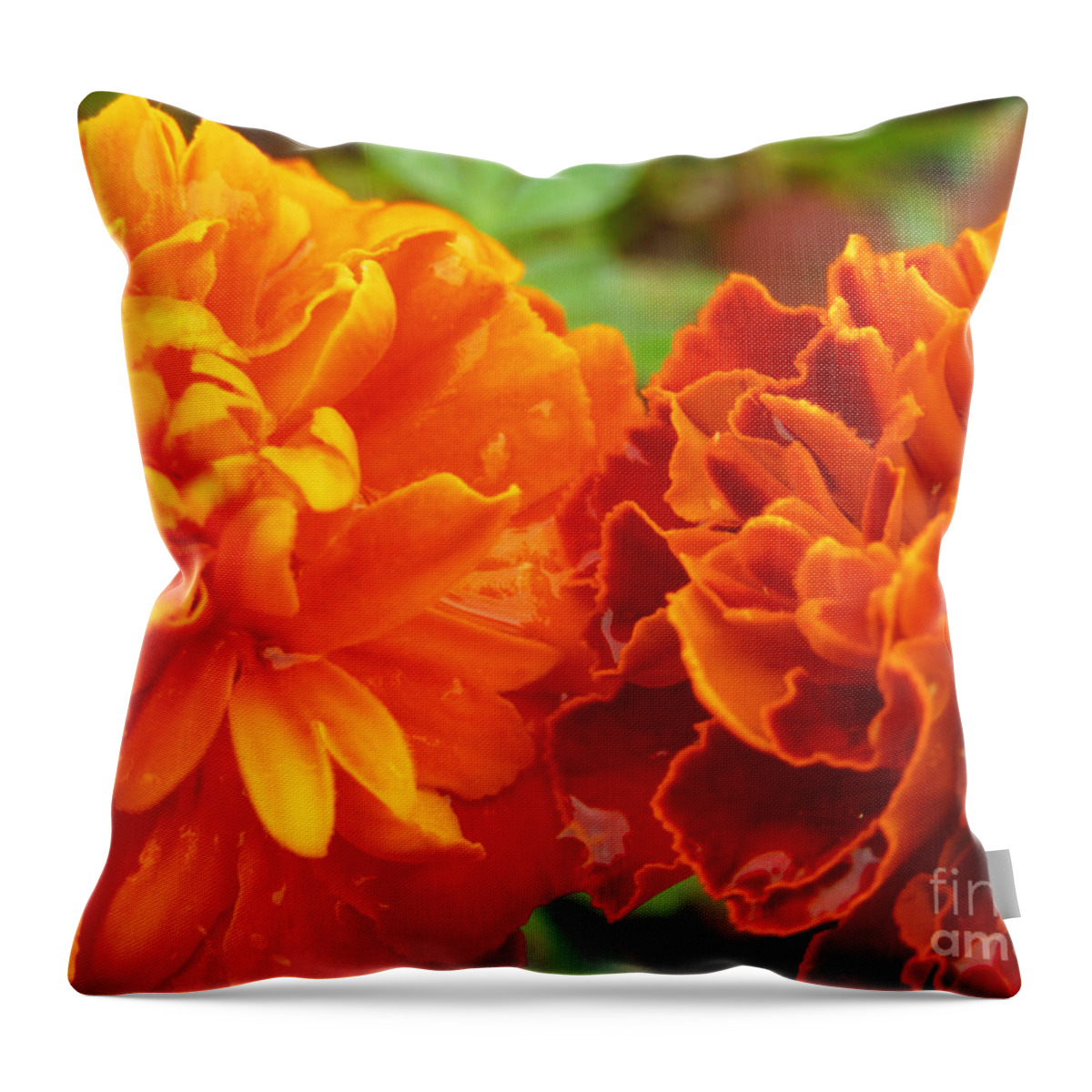 Water Throw Pillow featuring the photograph Double Marigold by Robert Knight