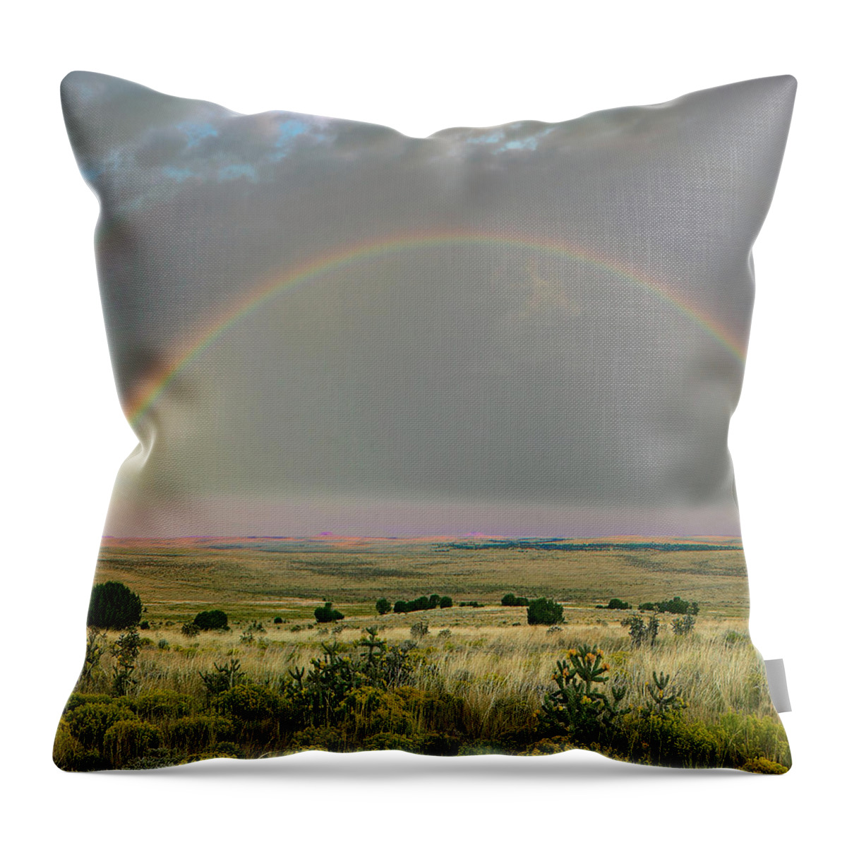 00586349 Throw Pillow featuring the photograph Double Rainbow, Apishapa State Wildlife Area, Colorado by Tim Fitzharris
