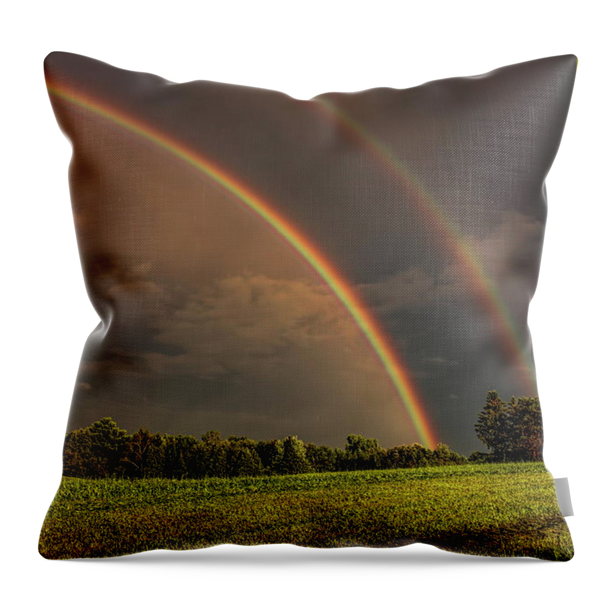 Weather Throw Pillow featuring the photograph Double Rainbow Over The Hay Field by Dale Kauzlaric