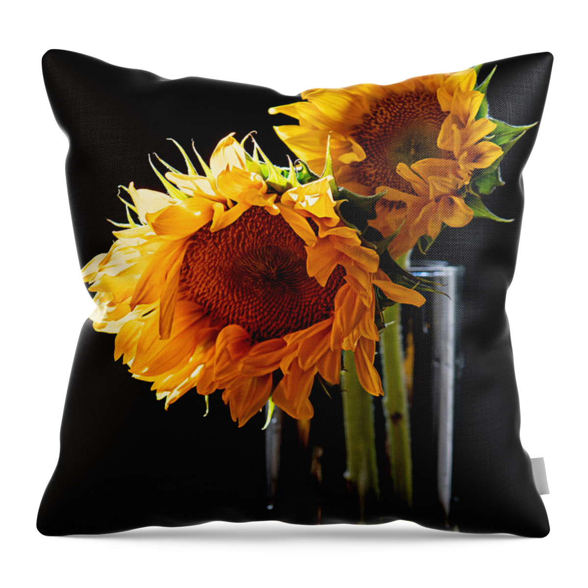 Sunflower Throw Pillow featuring the photograph Double the Joy by Maggie Terlecki