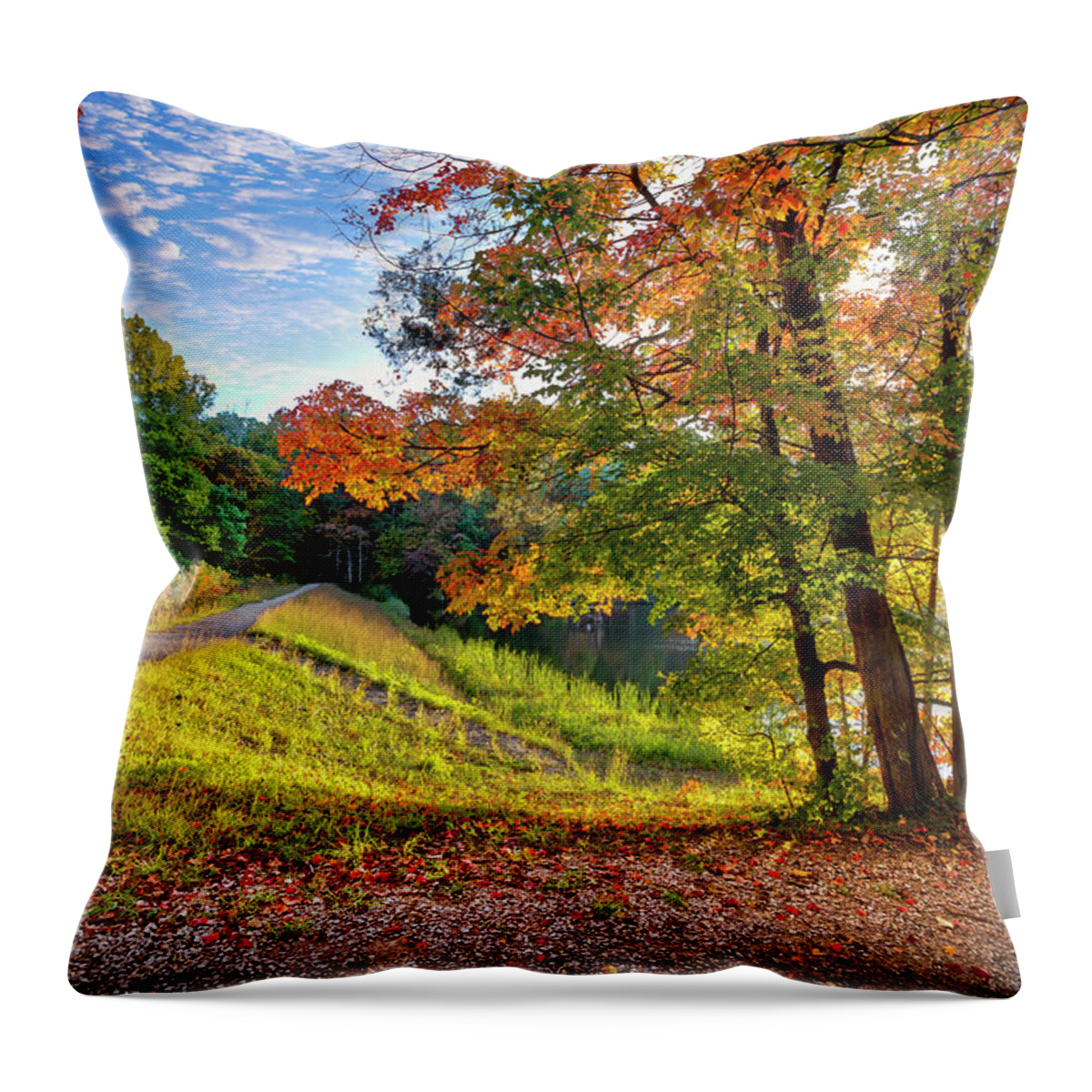 Benton Throw Pillow featuring the photograph Double Vision by Debra and Dave Vanderlaan