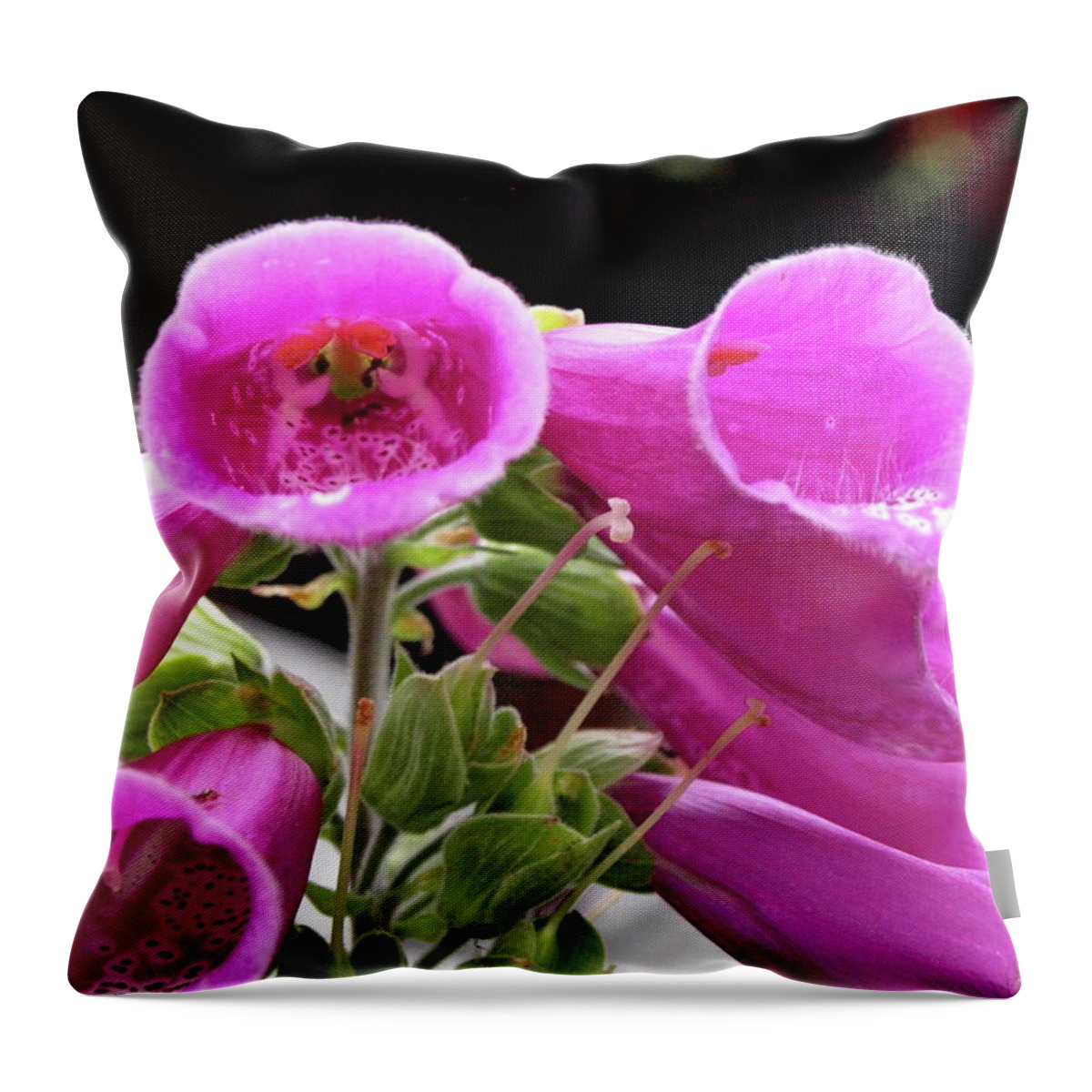 Fox Glove Throw Pillow featuring the photograph Down the Throat by Jeffrey Peterson