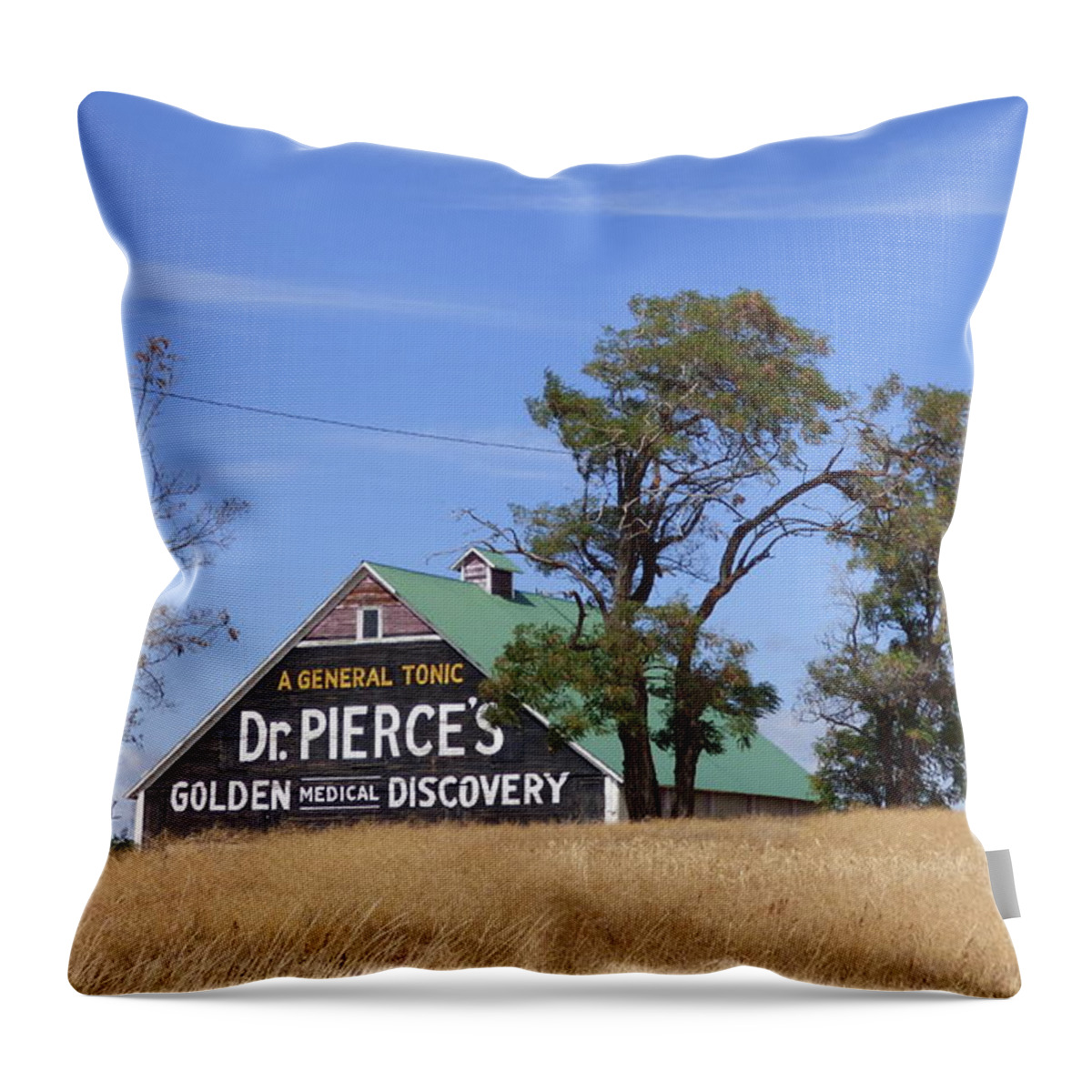 Barn Throw Pillow featuring the photograph Dr. Pierce's Golden Medical Discovery Barn by Charles Robinson