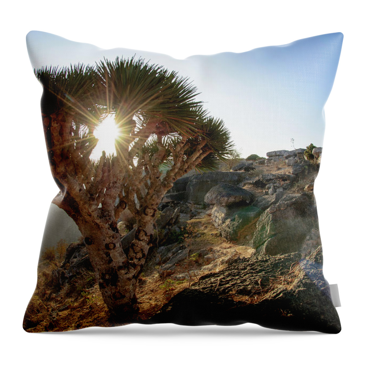 Tranquility Throw Pillow featuring the photograph Dragonbloodtree by Mario Eder