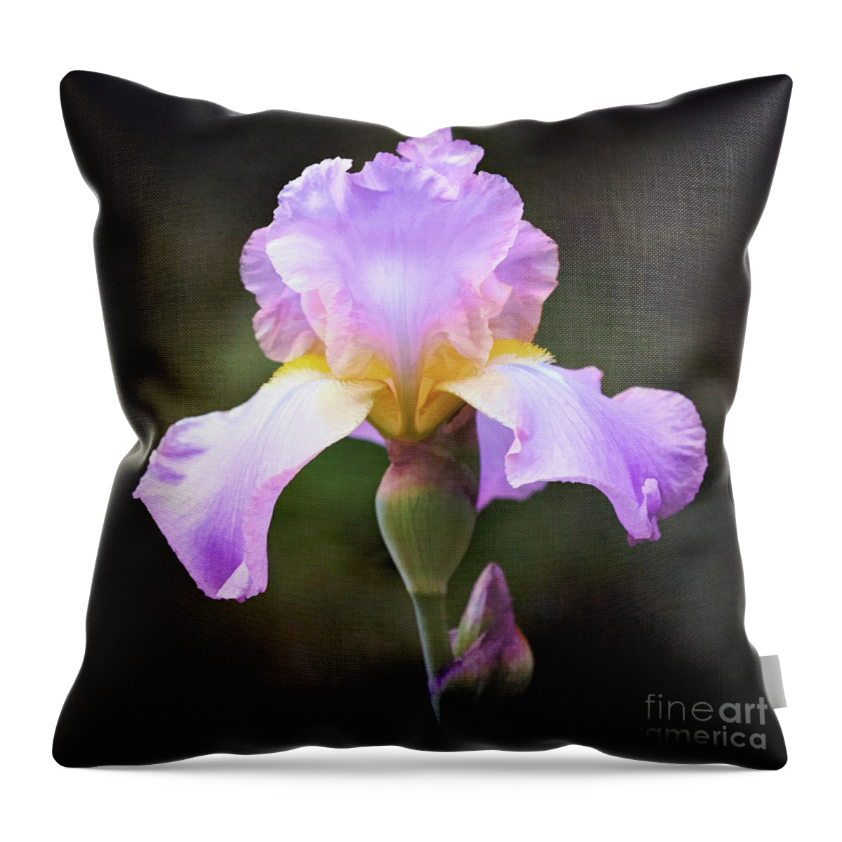 Iris Throw Pillow featuring the photograph Dramatic Purple Iris by Anita Pollak