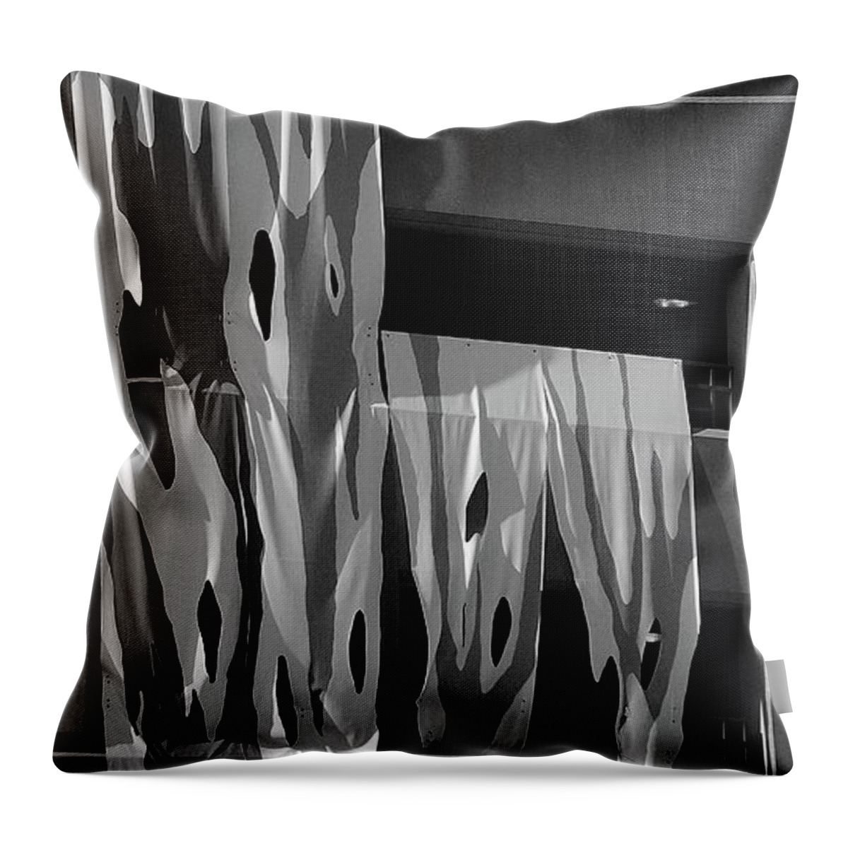 Draped Throw Pillow featuring the photograph Draped Building by Glory Ann Penington