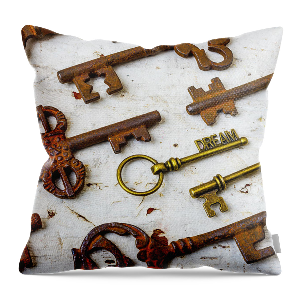 Dream Throw Pillow featuring the photograph Dream Key by Garry Gay