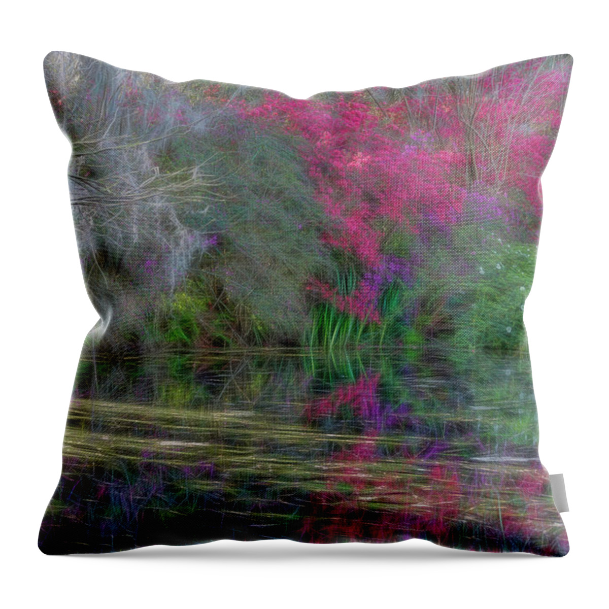 Dream Reflection Throw Pillow featuring the photograph Dream Reflection by Crystal Wightman