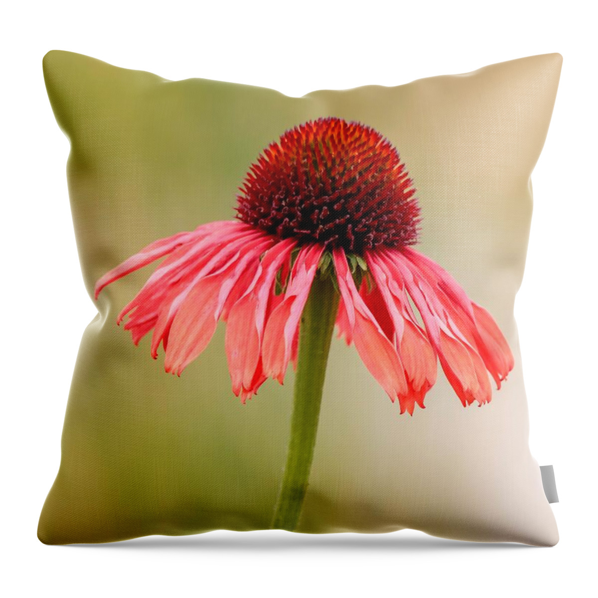 Close-up Throw Pillow featuring the photograph Dreaming by Susan Rydberg