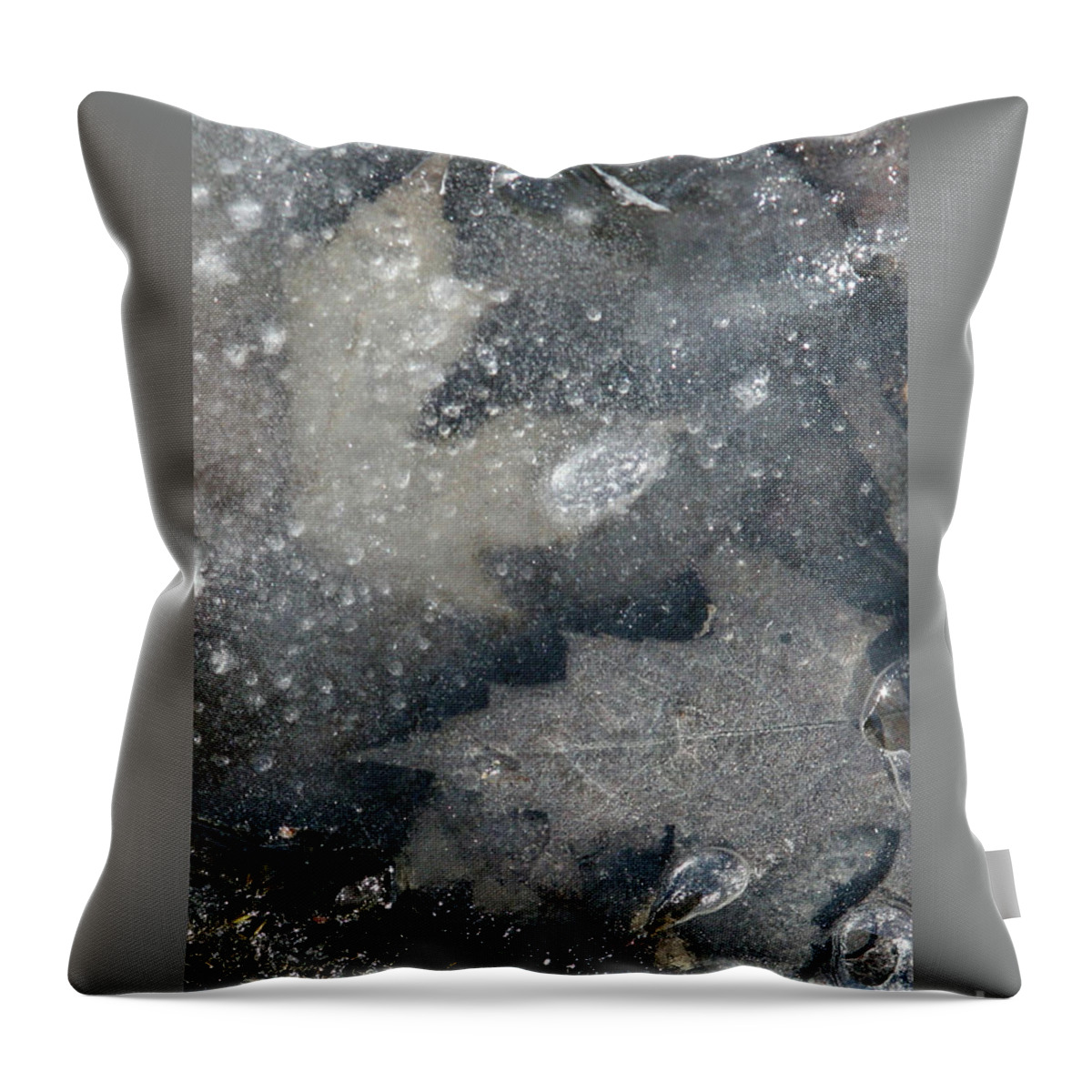 Leaf Throw Pillow featuring the photograph Dreamy Leaves-III by Patricia Overmoyer
