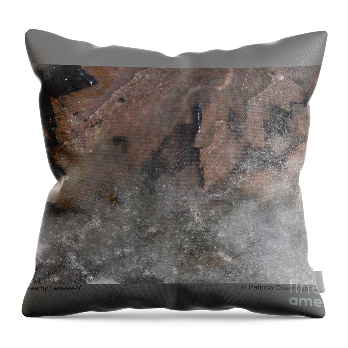 Leaf Throw Pillow featuring the photograph Dreamy Leaves-V by Patricia Overmoyer