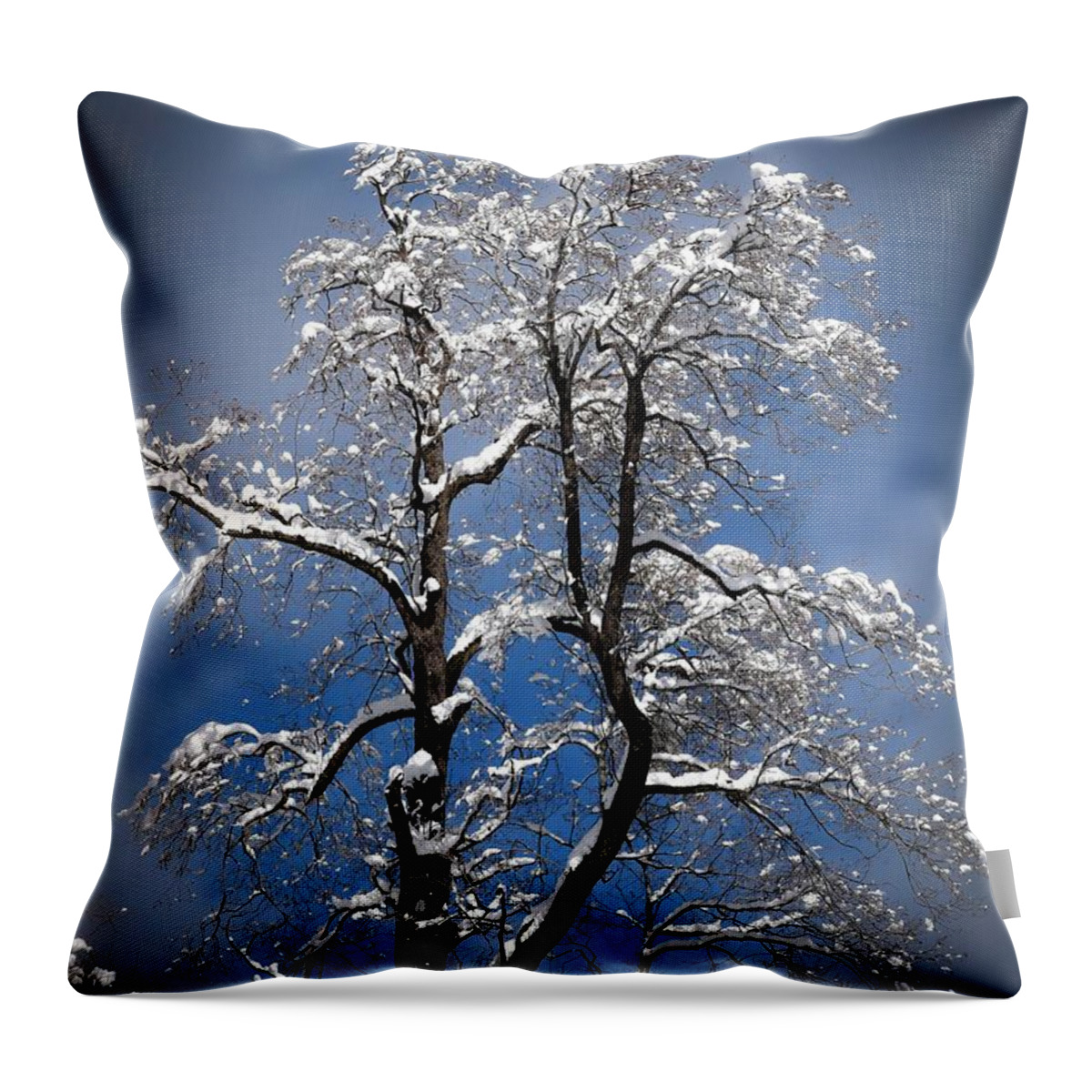 Arizona Throw Pillow featuring the photograph Dressed in White by Will Wagner