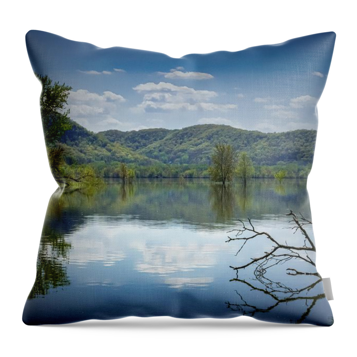 Driftwood Throw Pillow featuring the photograph Driftwood Two by Phil S Addis