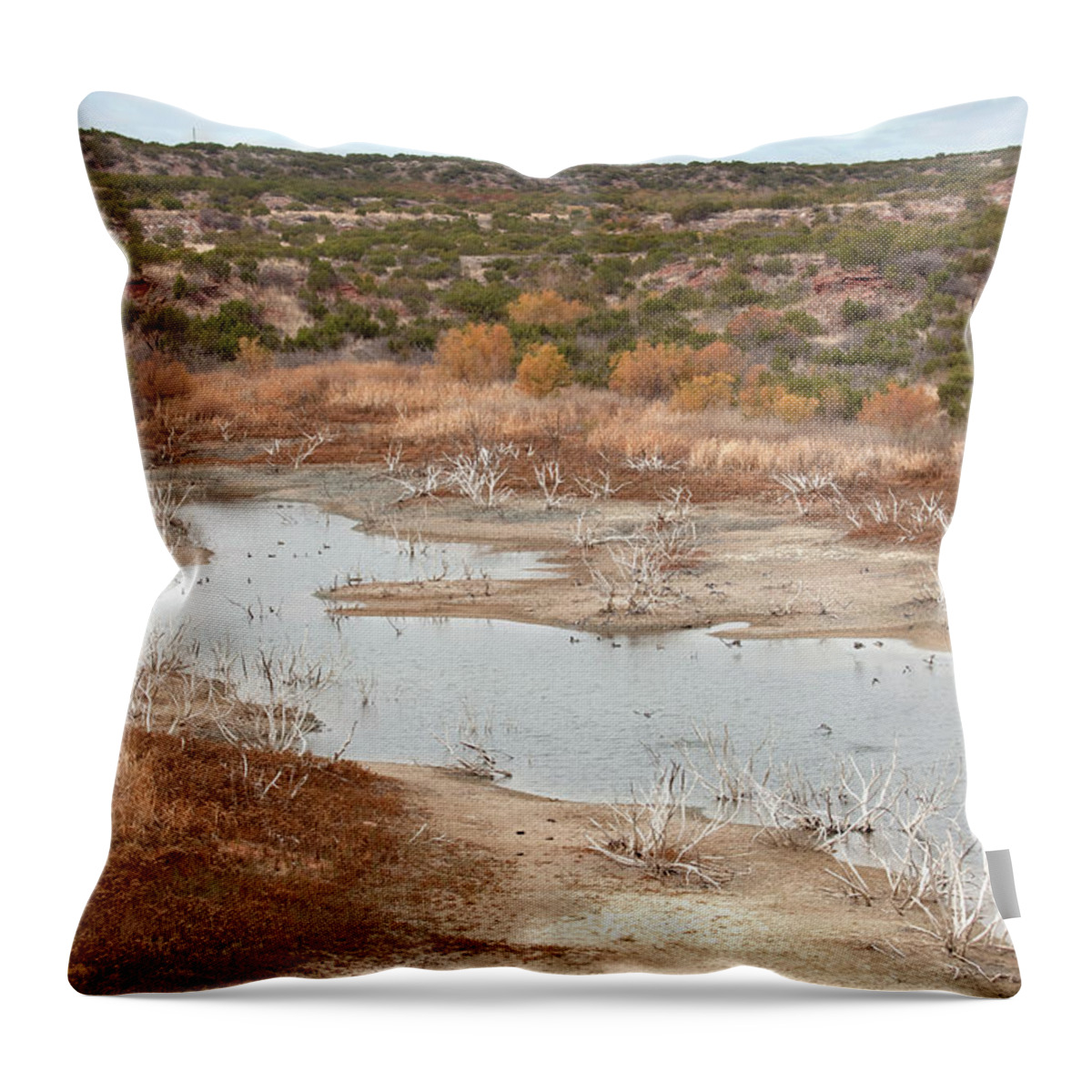 Reservoir Throw Pillow featuring the photograph Drought Conditions Low Water Reservoir by Milehightraveler