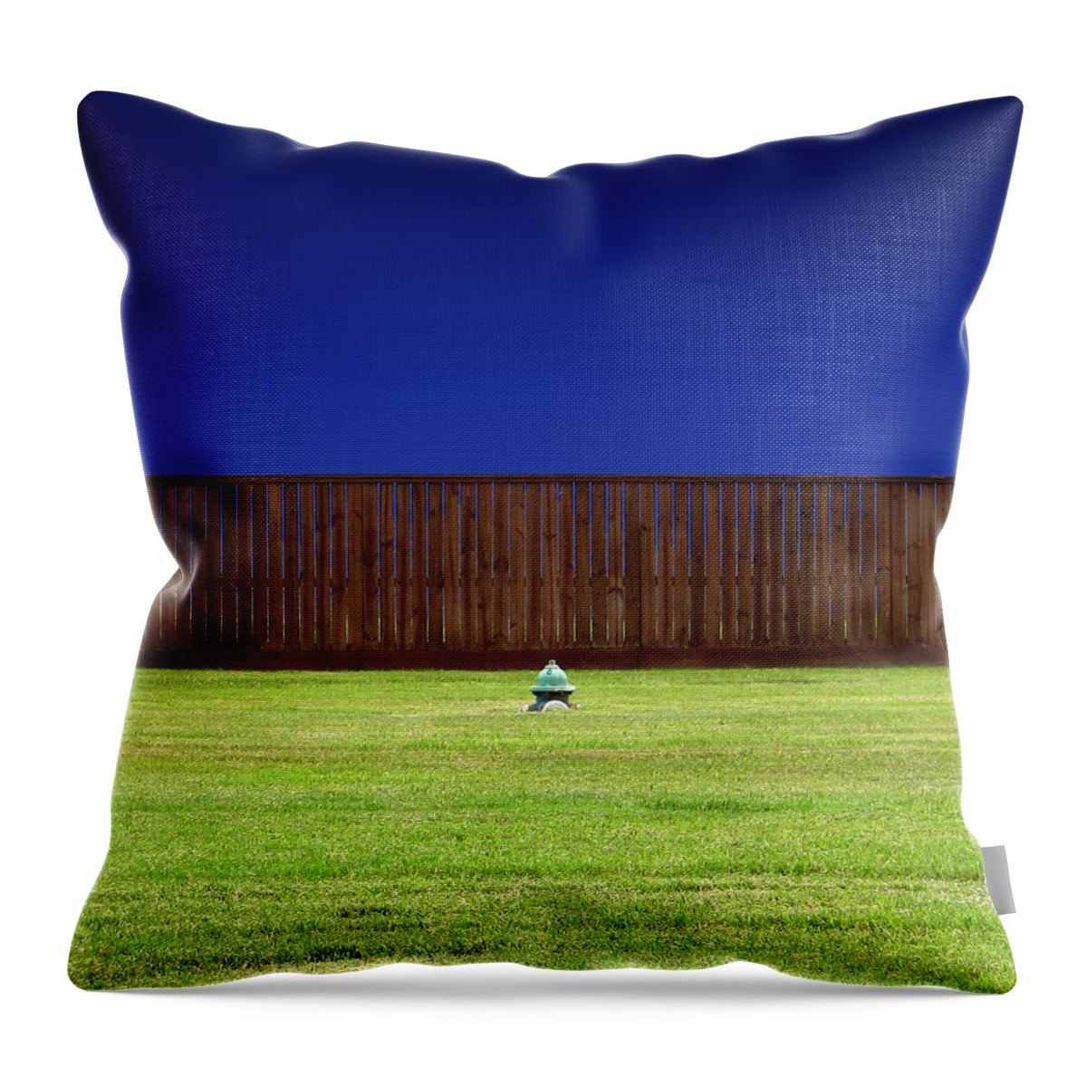 Tranquility Throw Pillow featuring the photograph Drowning In A Sea Of Grass by Kevin Trotman