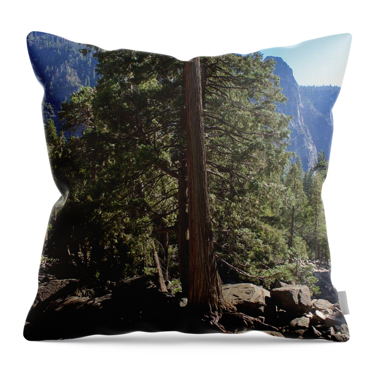 Fall Throw Pillow featuring the photograph Dry Season by Dan Twomey