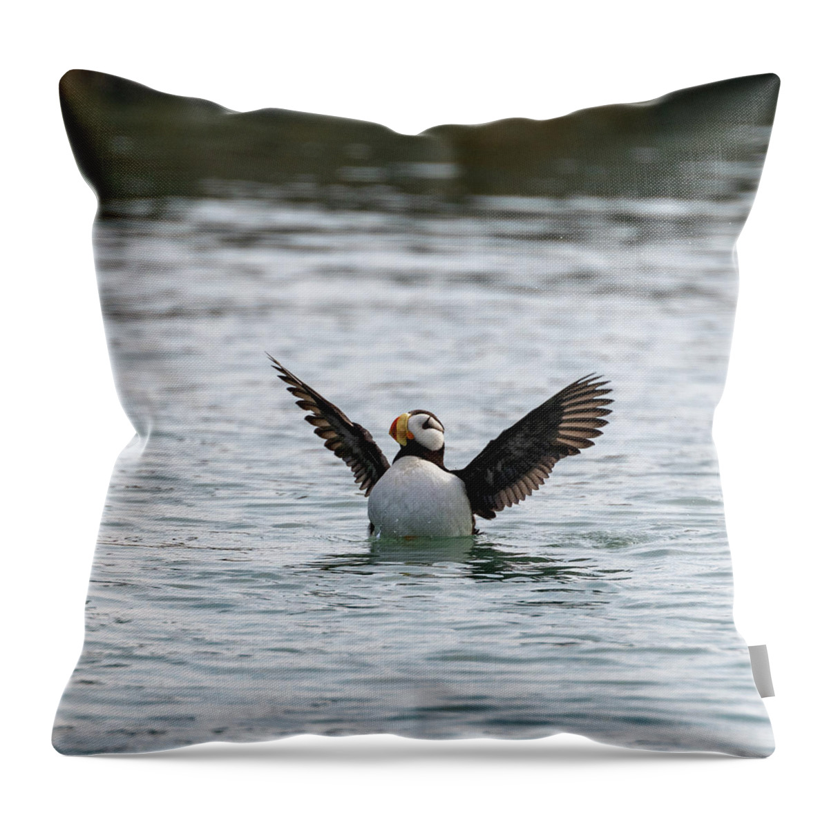 Puffin Throw Pillow featuring the photograph Drying Wings by Mark Hunter