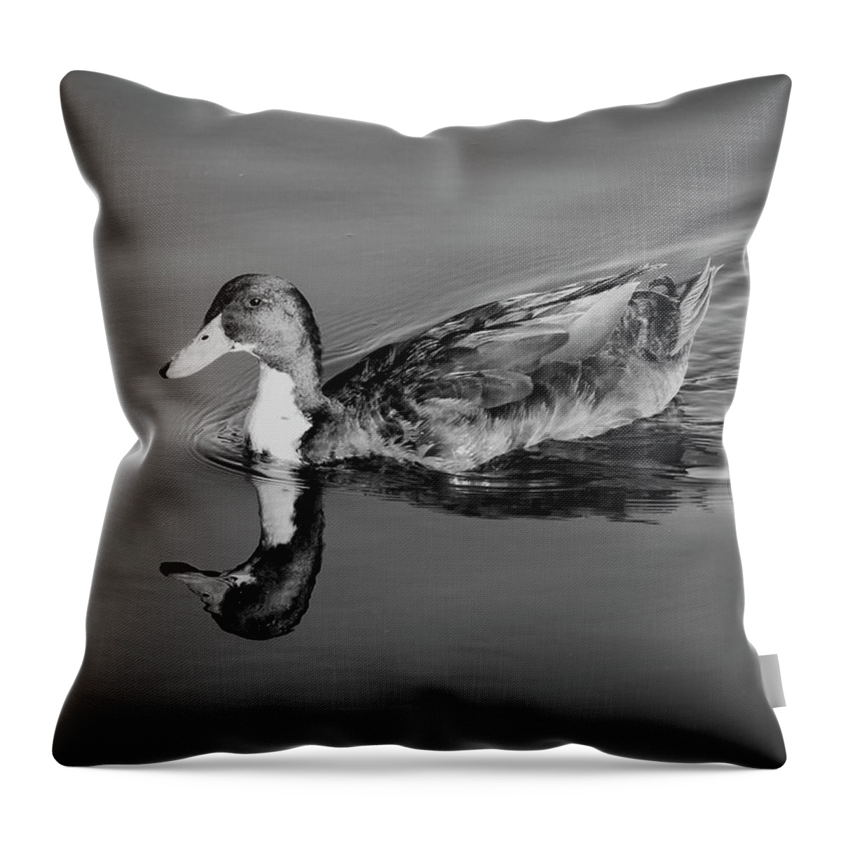 Duck Throw Pillow featuring the photograph Duck in Black and White by Alison Frank