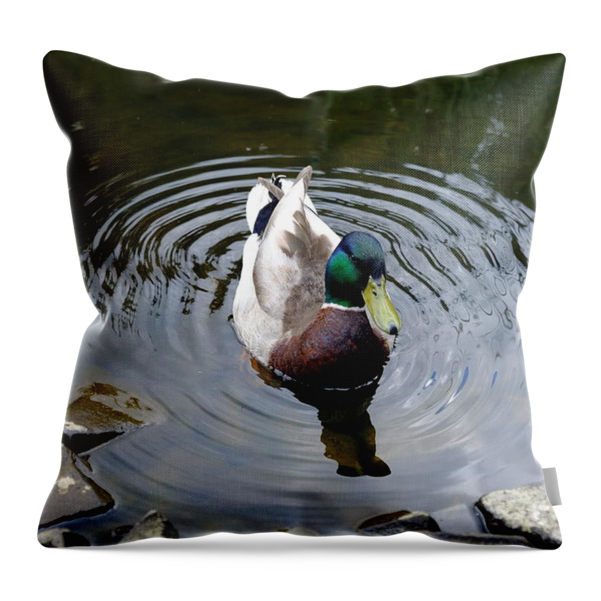 Pond Throw Pillow featuring the photograph Duck in Pond by Mini Arora