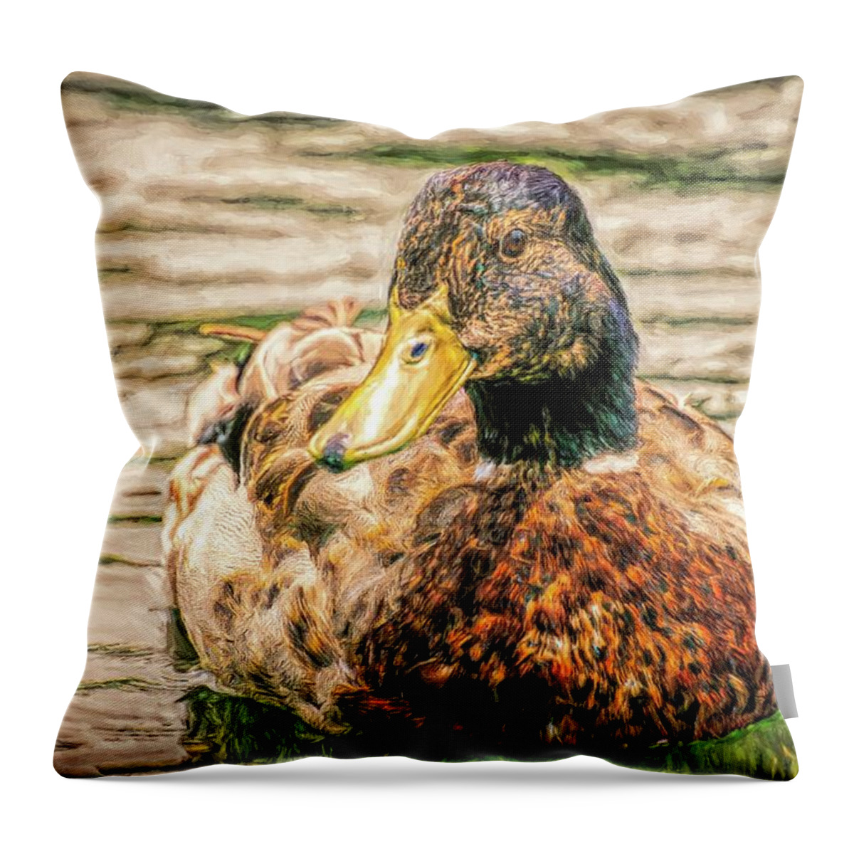 Duck Throw Pillow featuring the photograph Duck Swimming in Lake Toned by Don Northup