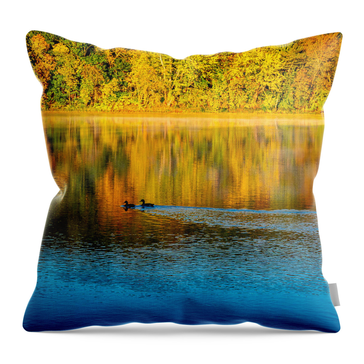 Ducks Throw Pillow featuring the photograph Ducks on the River by Richard Plourde