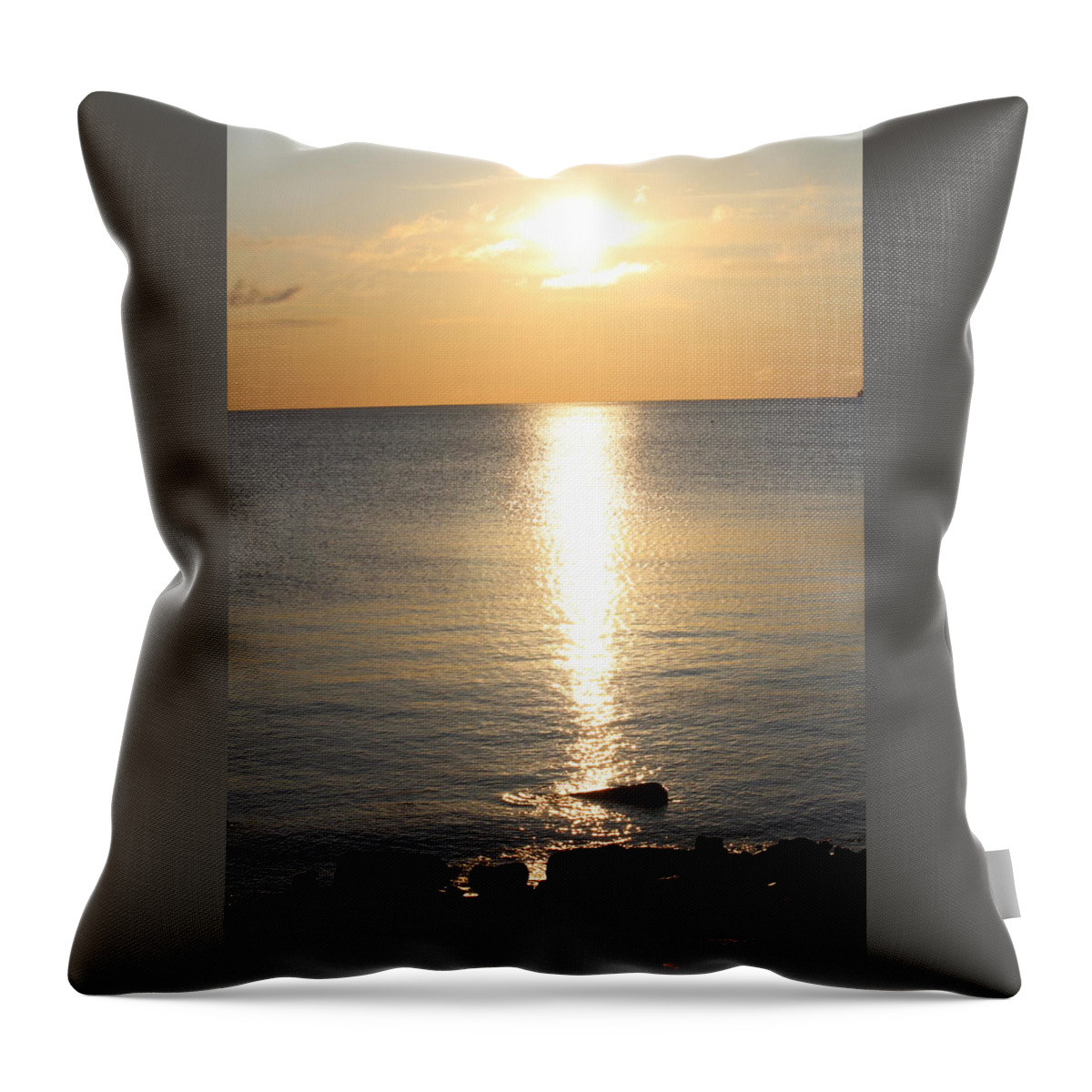 Duluth Throw Pillow featuring the photograph Duluth Sunrise by John Olson