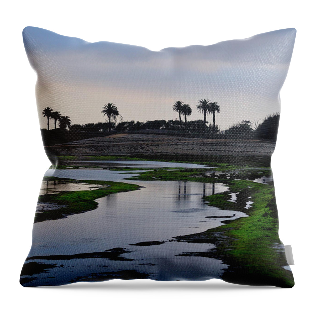 Scenics Throw Pillow featuring the photograph Dusk At The Wetlands by Sandy L. Kirkner