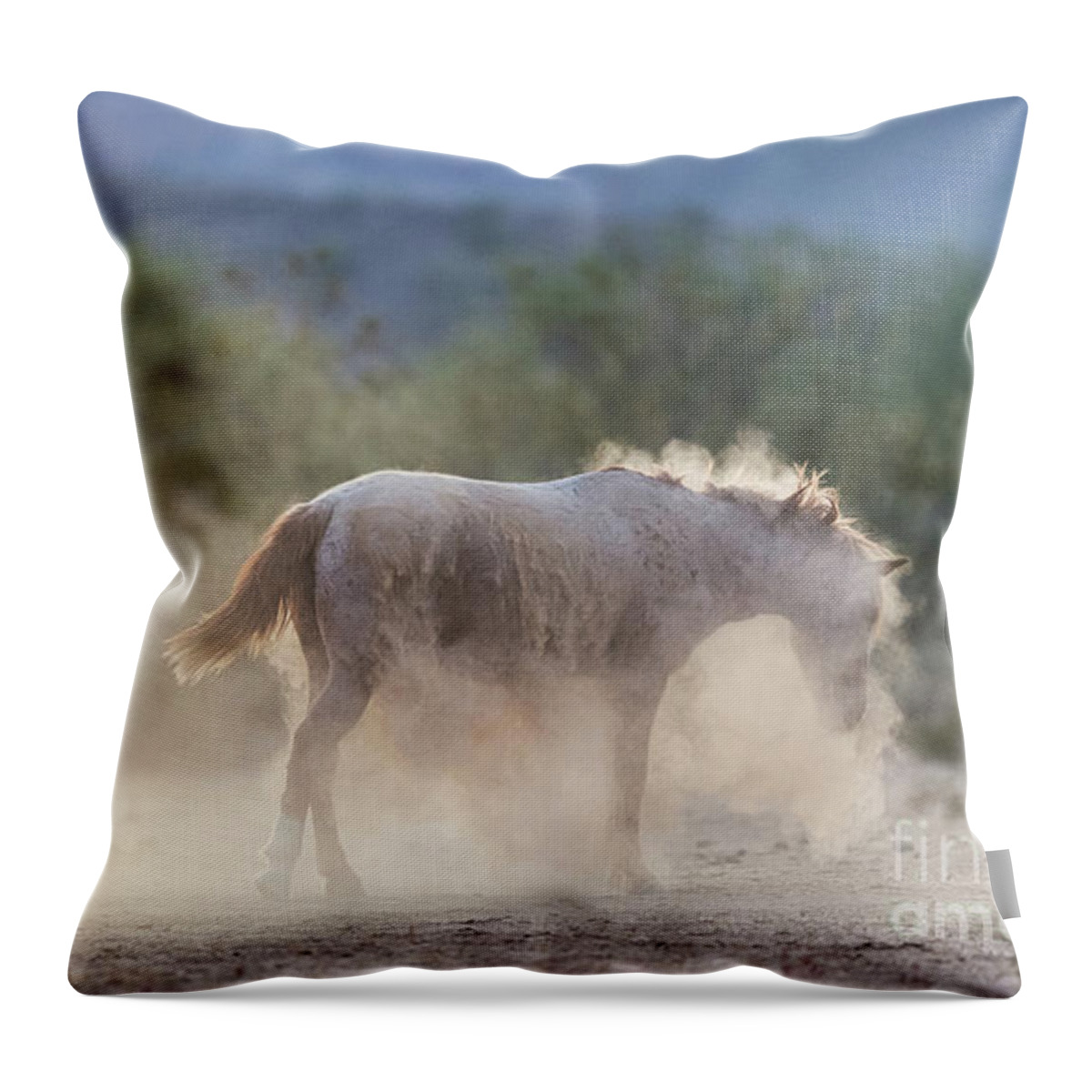 Shaking Off Dirt Throw Pillow featuring the photograph Dust Bath by Shannon Hastings