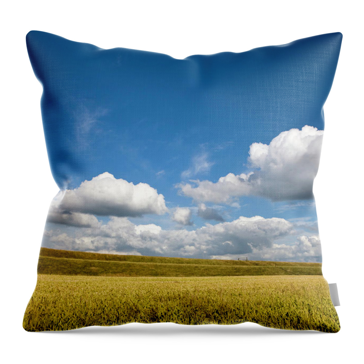 Scenics Throw Pillow featuring the photograph Dutch Views by Digiclicks
