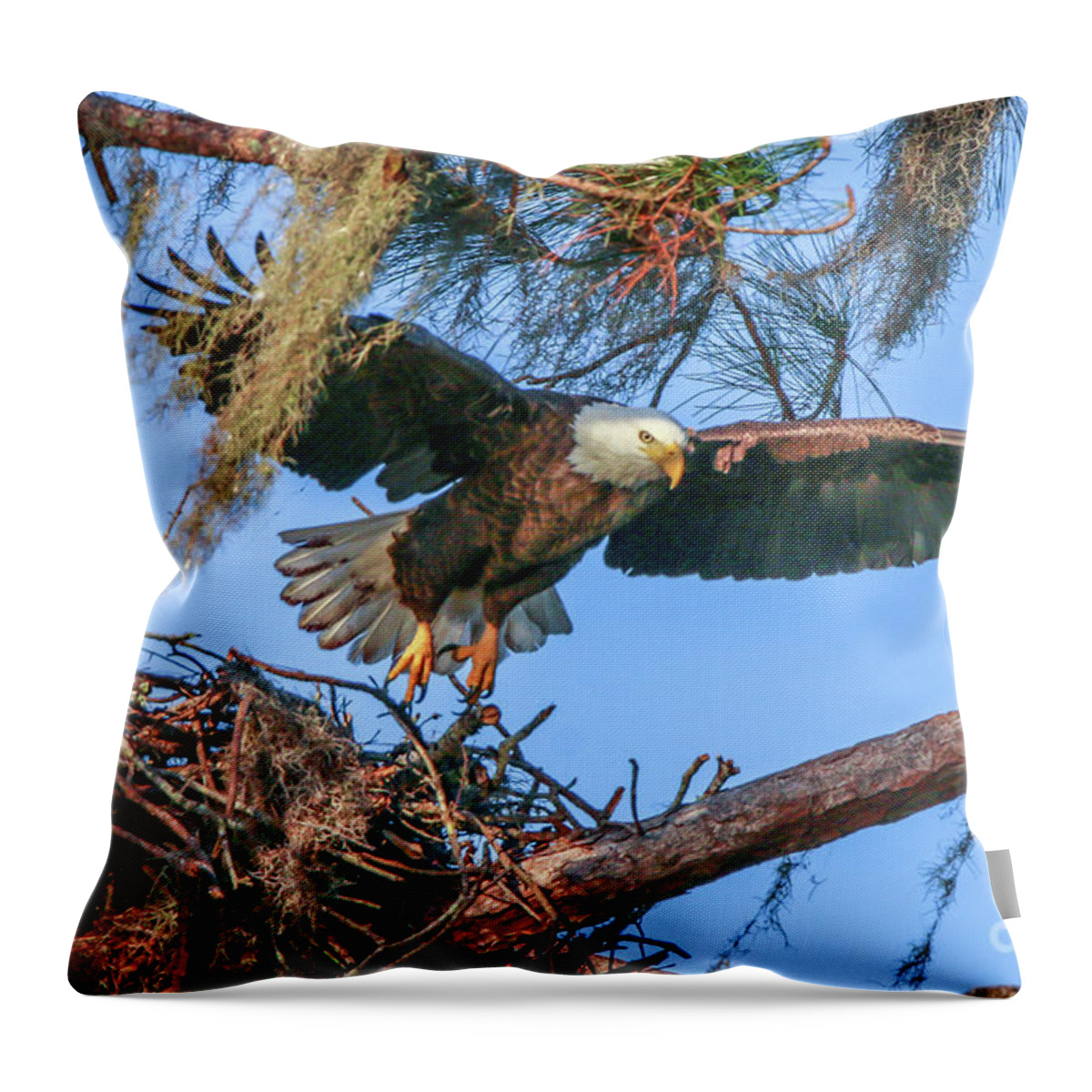 Eagle Throw Pillow featuring the photograph Eagle Launch by Tom Claud