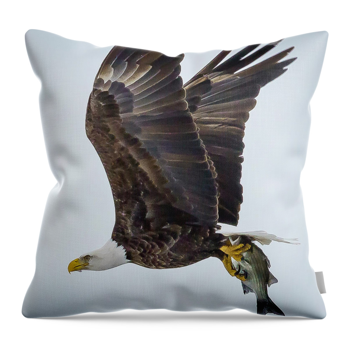 Eagle Throw Pillow featuring the photograph Eagle with Fish by David Wagenblatt