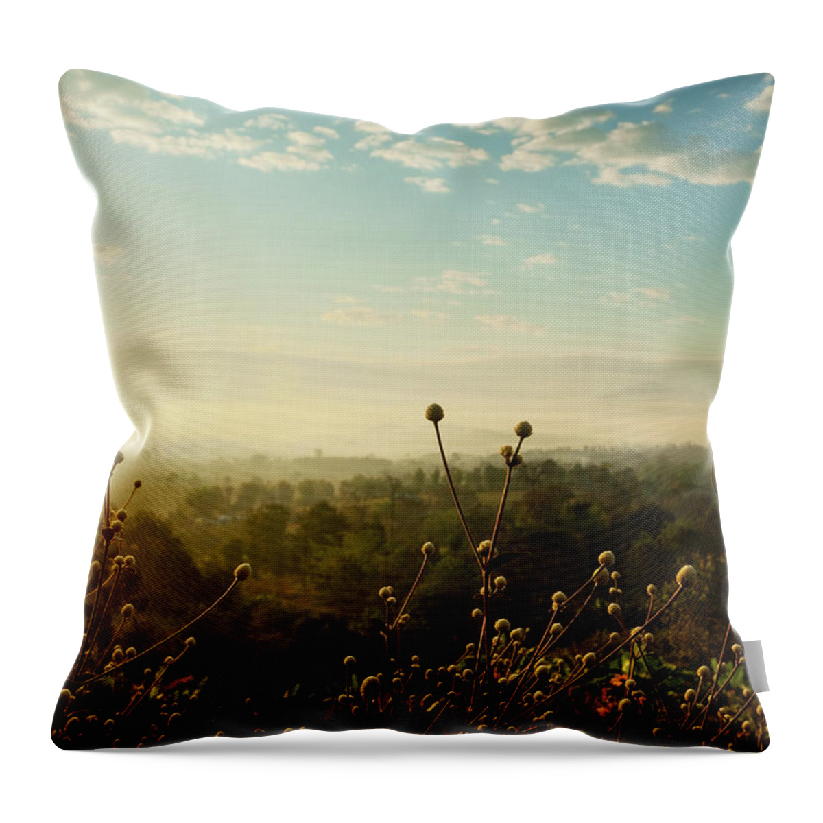 Southeast Asia Throw Pillow featuring the photograph Early Morning In The North Of Thailand by Sndrk